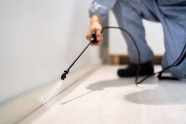 Licensed Pest Control service in Bermuda Run, NC - Show Me Pest Control