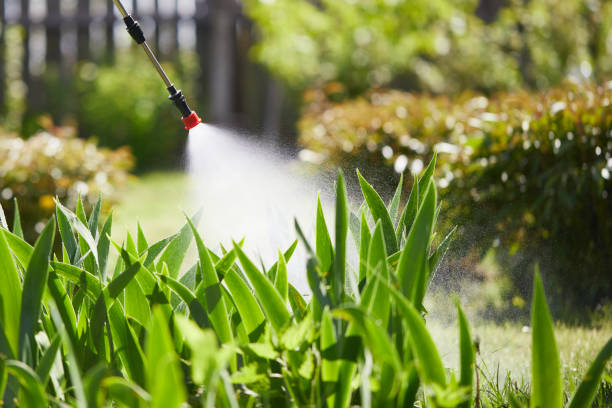 Void Injection for Cockroach Colonies in Bermuda Run