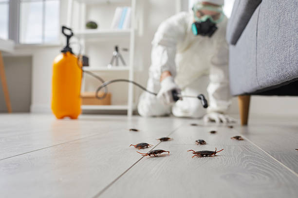 Commercial Kitchen Cockroach Control in Bermuda Run